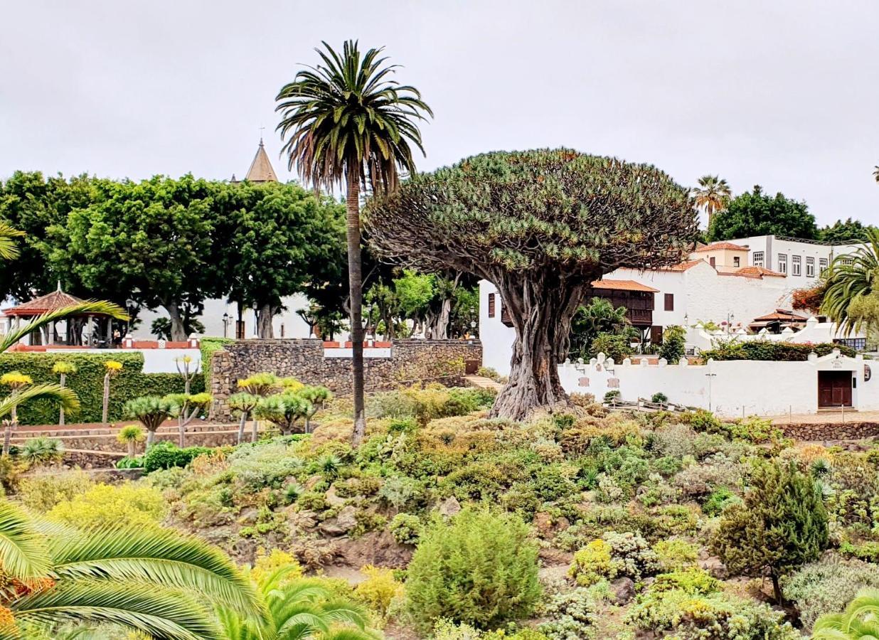 Terraza Sol Los Gigantes Beach By Hrtenerife Net Lägenhet Acantilado de los Gigantes Exteriör bild